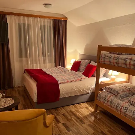 Hotel Hotel Central Vlasic