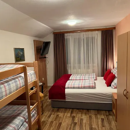 Hotel Hotel Central Vlasic