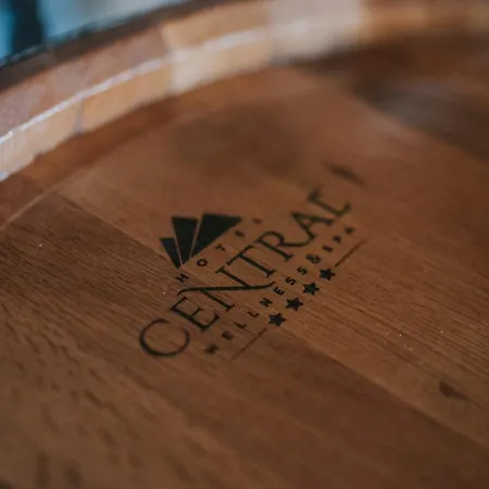 Hotel Central Vlasic Vlasic