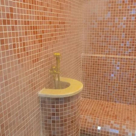 Hotel Central Vlasic 4*