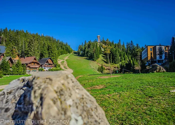 Hotel Hotel Central Vlasic Vlasic