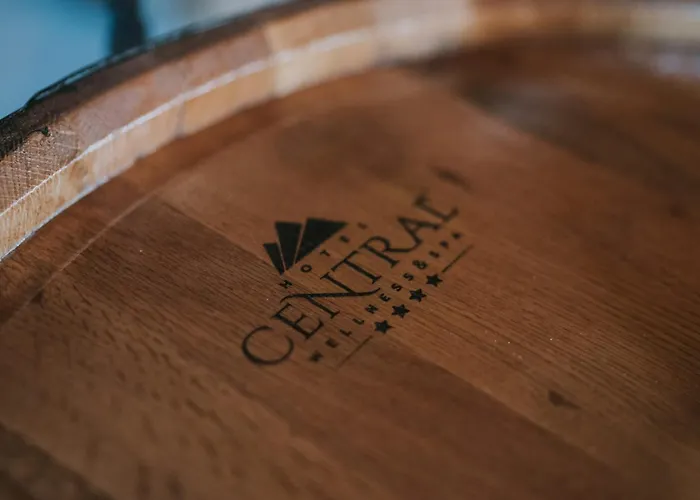 Hotel Central Vlasic Vlasic