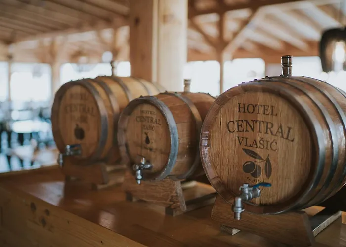 Hotel Central Vlasic Hotel 4*