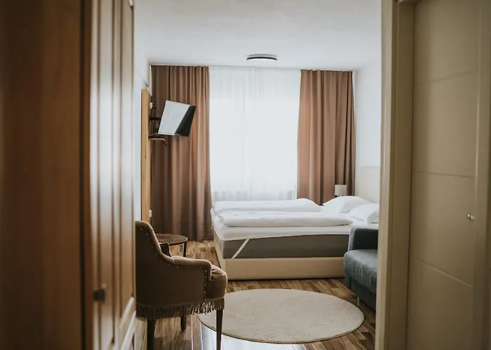 Hotel Hotel Central Vlasic 4*