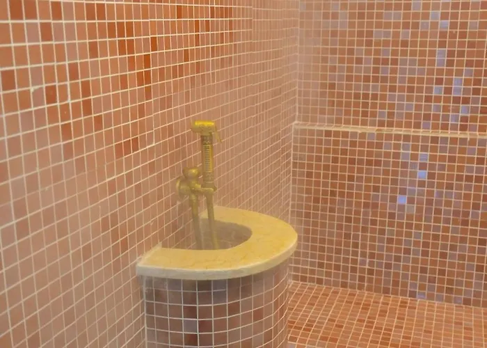 Hotel Central Vlasic 4*